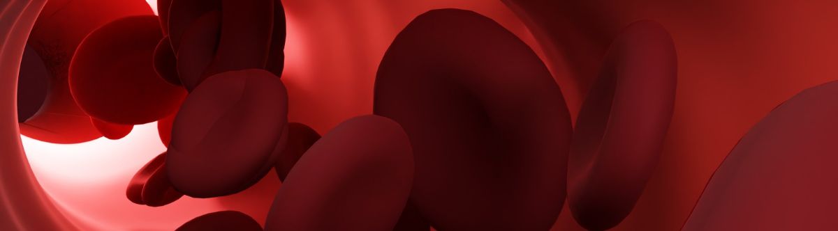 angiologista em brasilia df 2025 - CIAD